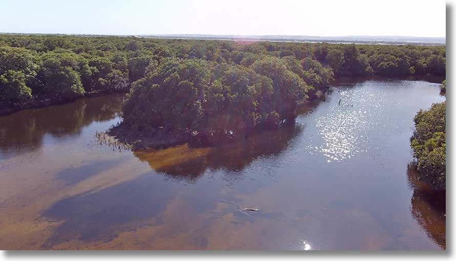 Barque Creek