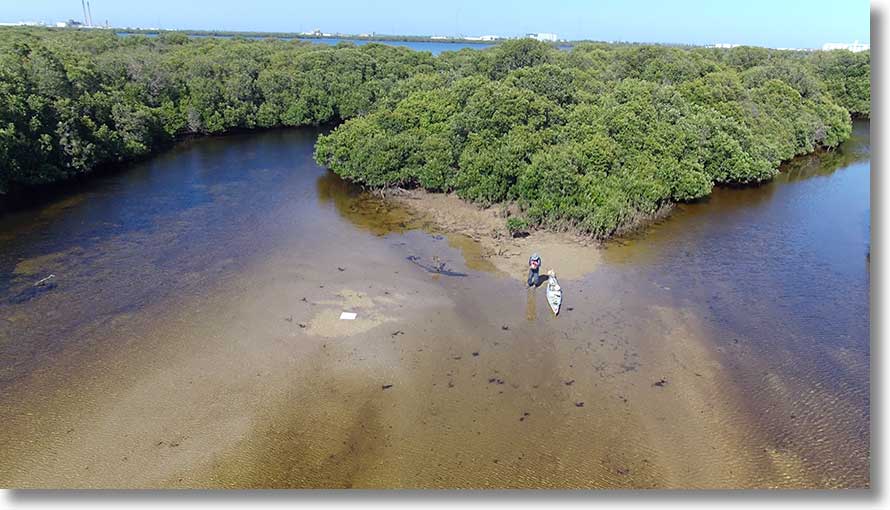 Barque Creek sandbar