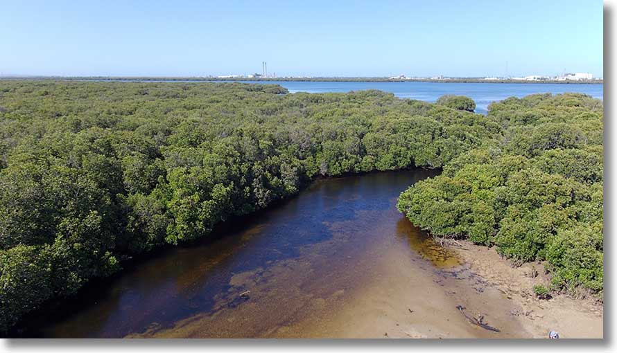 Barque Creek entrance channel