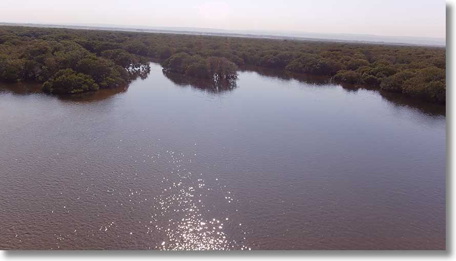 Barque Creek entrance