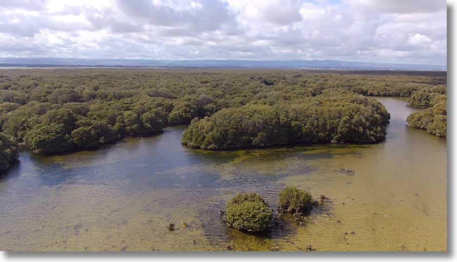 Barque Creek area: south