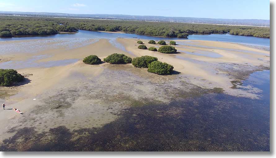 Burrows Creek sandbar:east