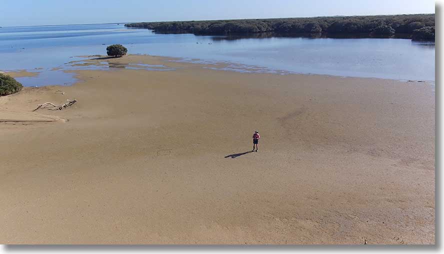 Burrows Creek sandbar:north