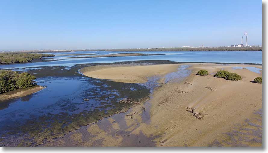 Burrows Creek sandbar:south