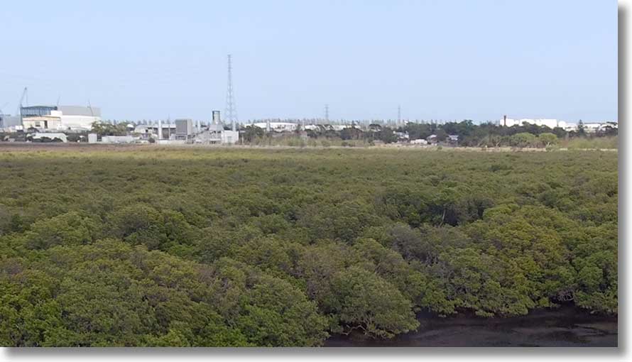 Quarantine Station