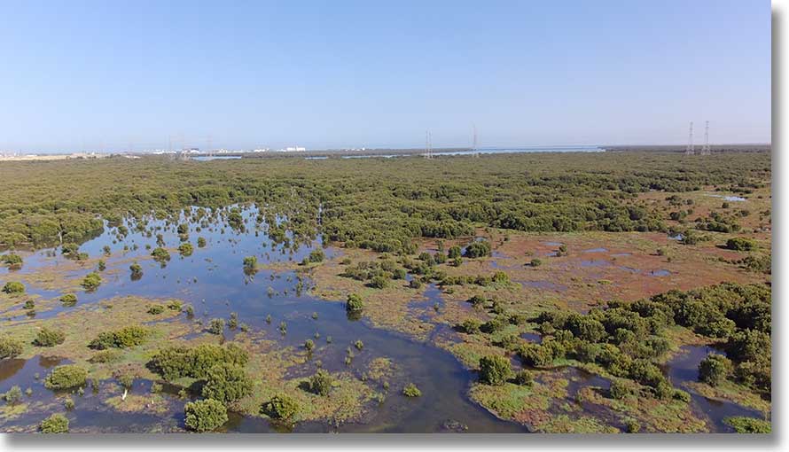 Upstream view of Hidden Creek