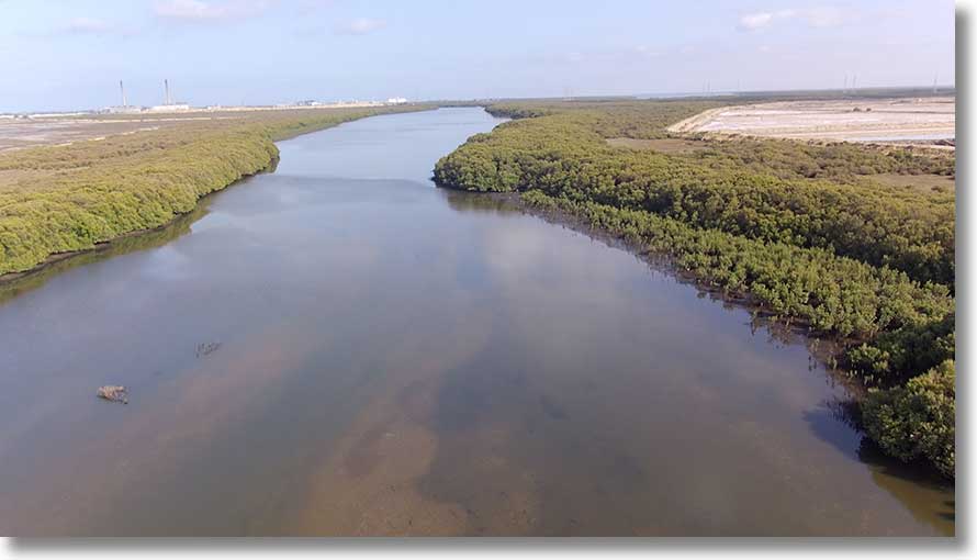 North Arm Creek