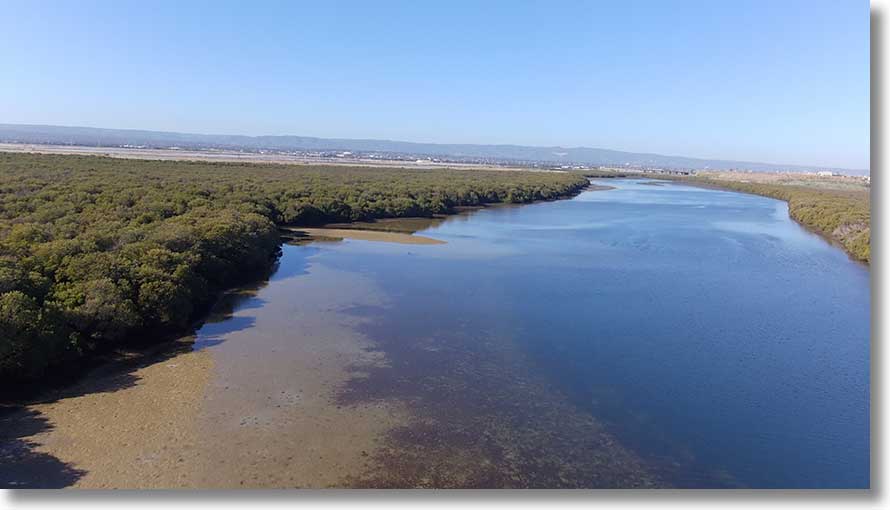 North Arm Creek