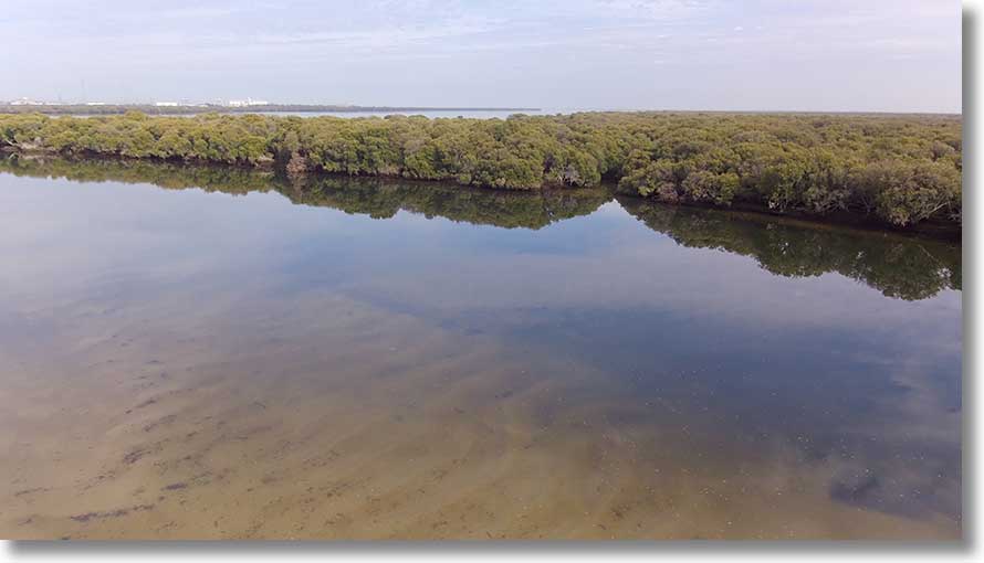 Swan Alley Creek: side creek entrance