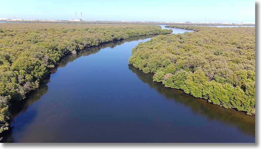 Swan Alley Creek: towards Barker Inlet