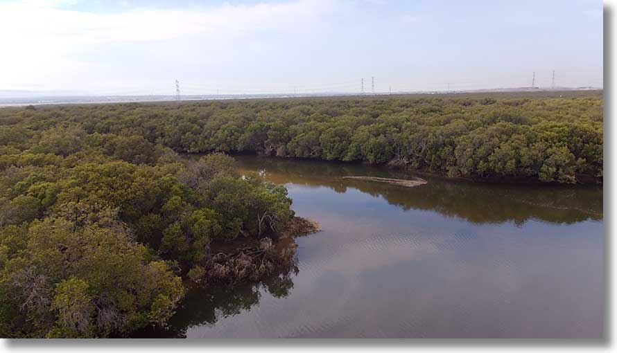 Swan Alley Creek: main channel