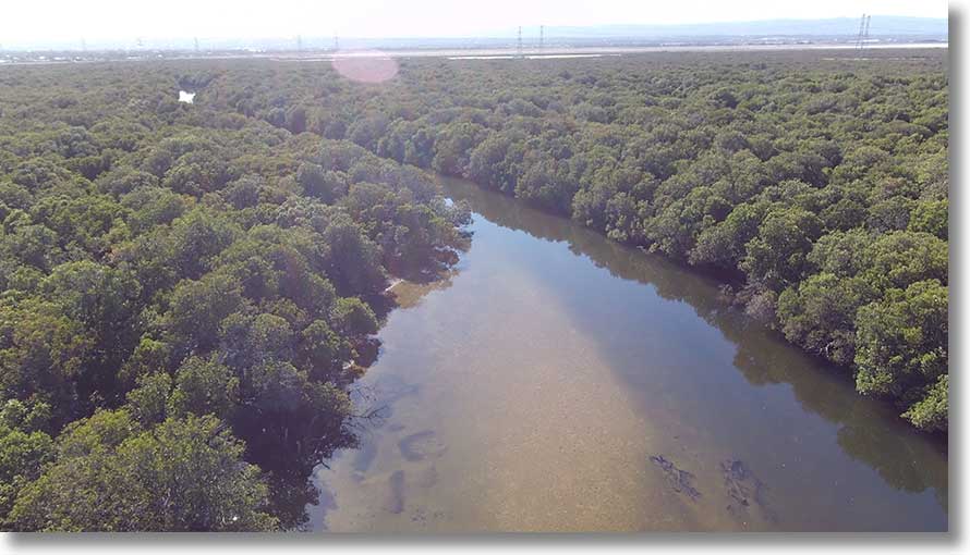 Swan Alley Creek: main channel