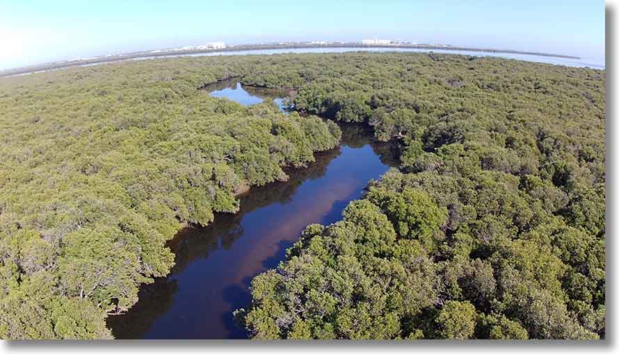 Barque Creek area: upstream to west