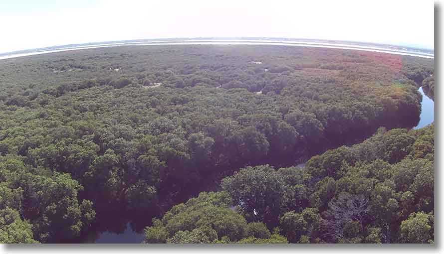 Barque Creek area: upstream to north east