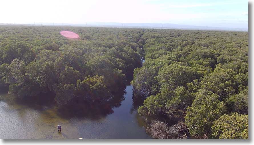 Burrows Creek: south