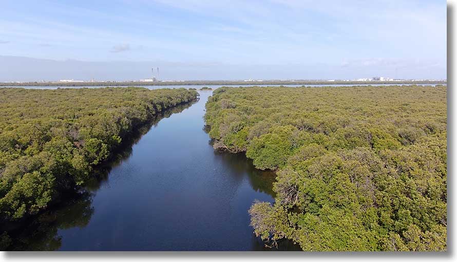 Burrows Creek:to entrance 