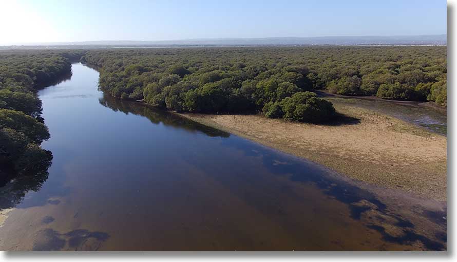 Burrows Creek entrance 