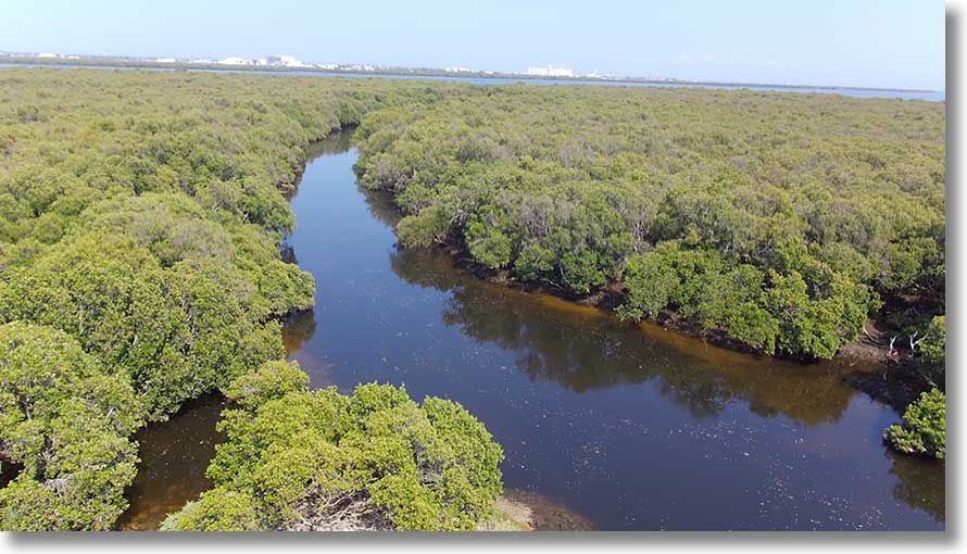 Garnets Creek