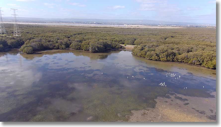 Northern view of Hidden Creek