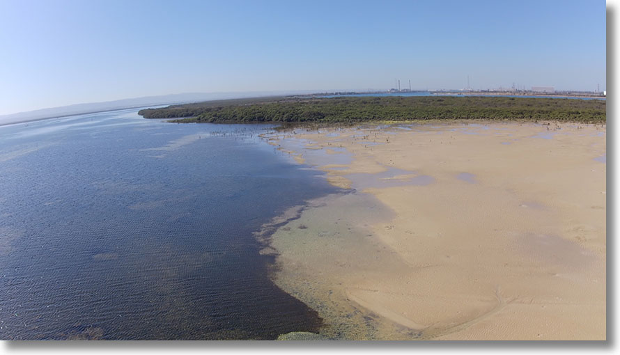 Pt Grey and Barker Inlet