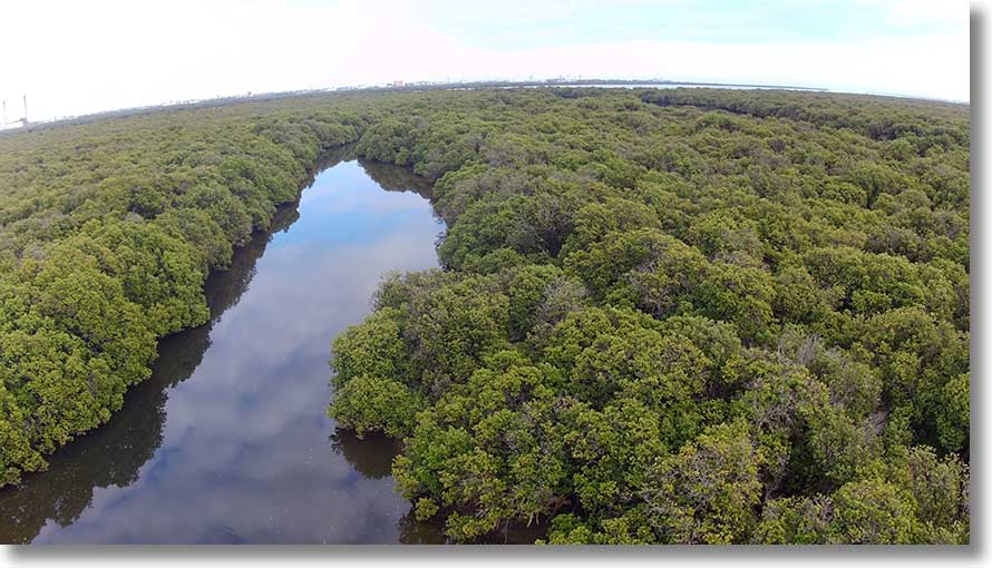 Towards Barker Inlet