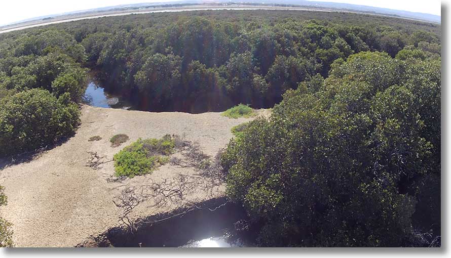 Looking across the eastern loop