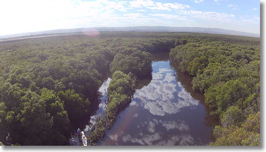 Upstream sandbar