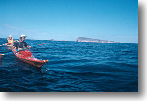 From Wedge Island